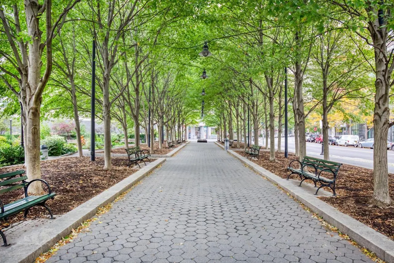 Fidi 1Br W Doorman Gym Nr Wall Street Nyc-1342 ニューヨーク